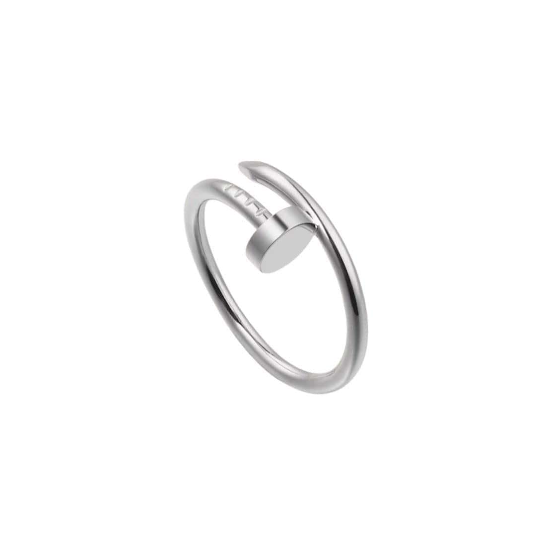 The Nail Ring Diana Hampton 