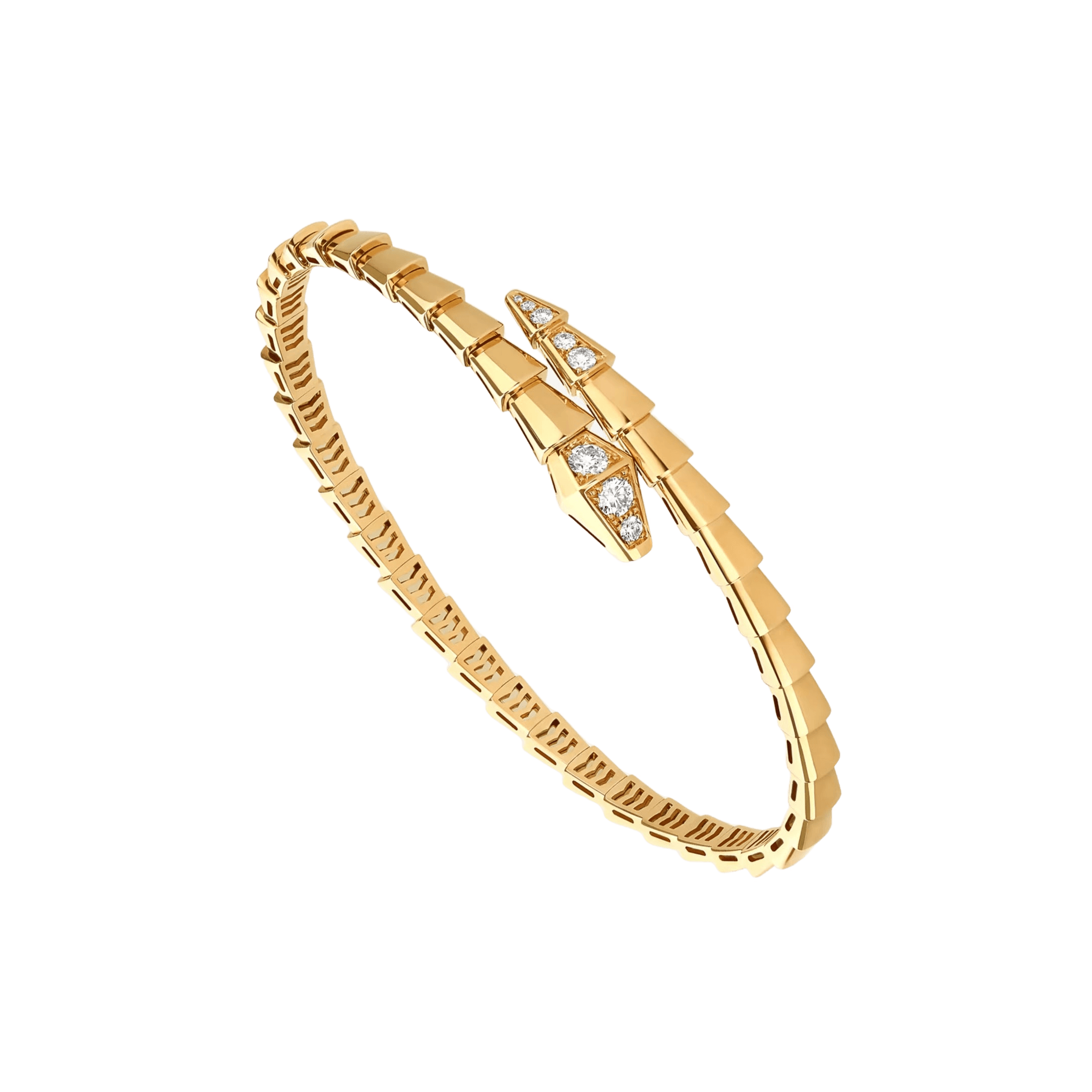 Timeless Serpenti Bracelet Diana Hampton 